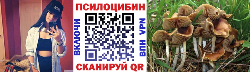Галлюциногенные грибы мухоморы Заозёрск