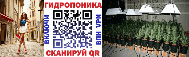 OMG ссылка  Заозёрск  Канабис Amnesia 
